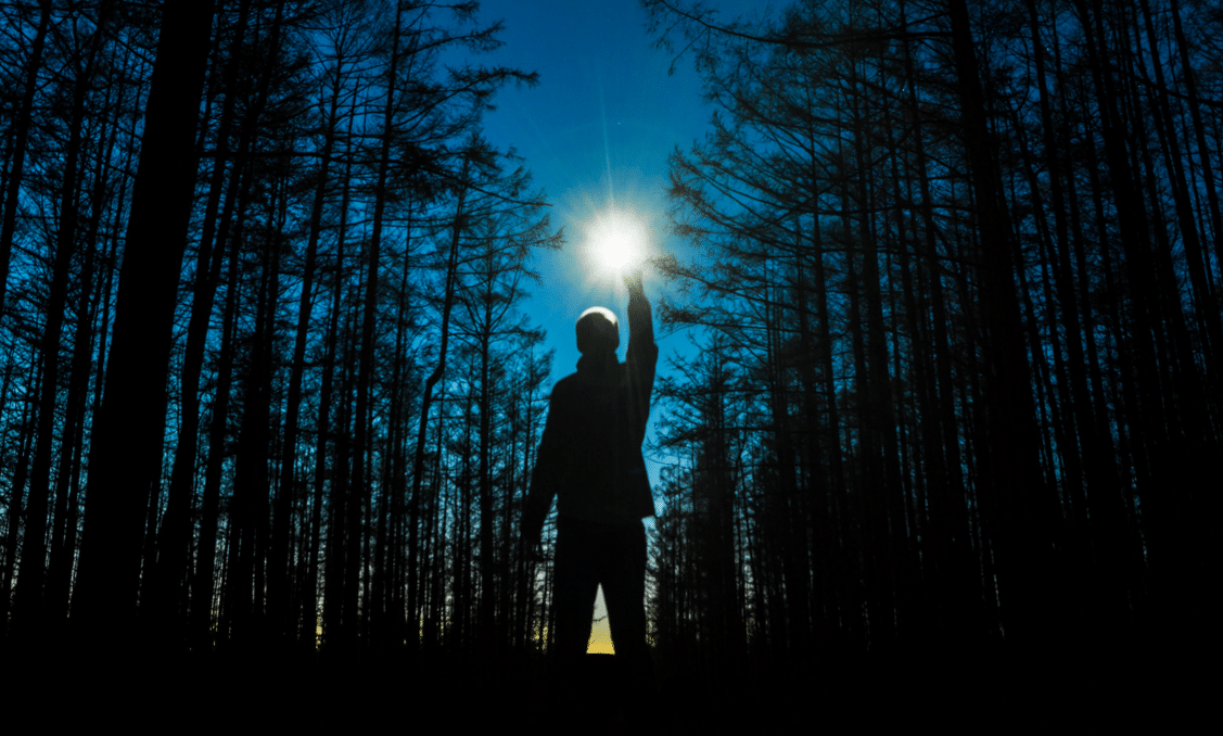 человек в ночном лесу