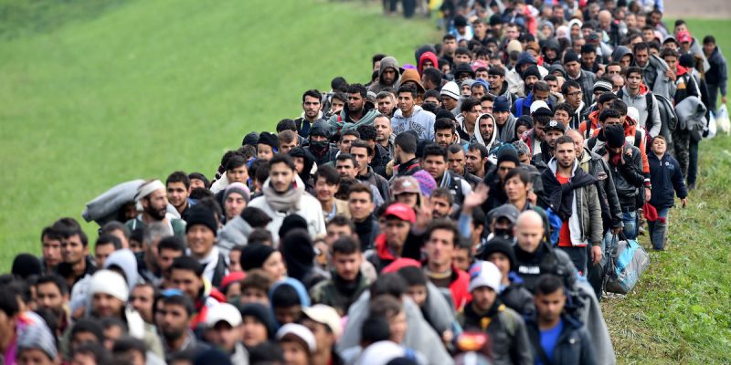 мигранты мусульмане в европе