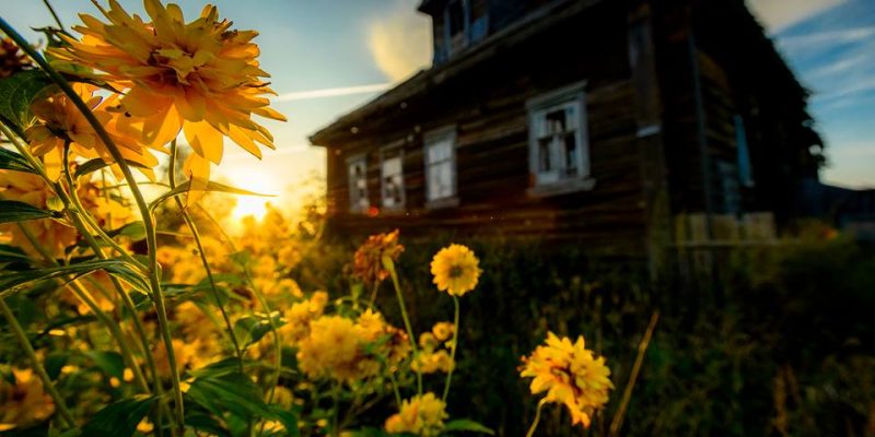 полная чухлома