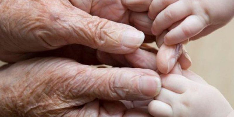 проект демография