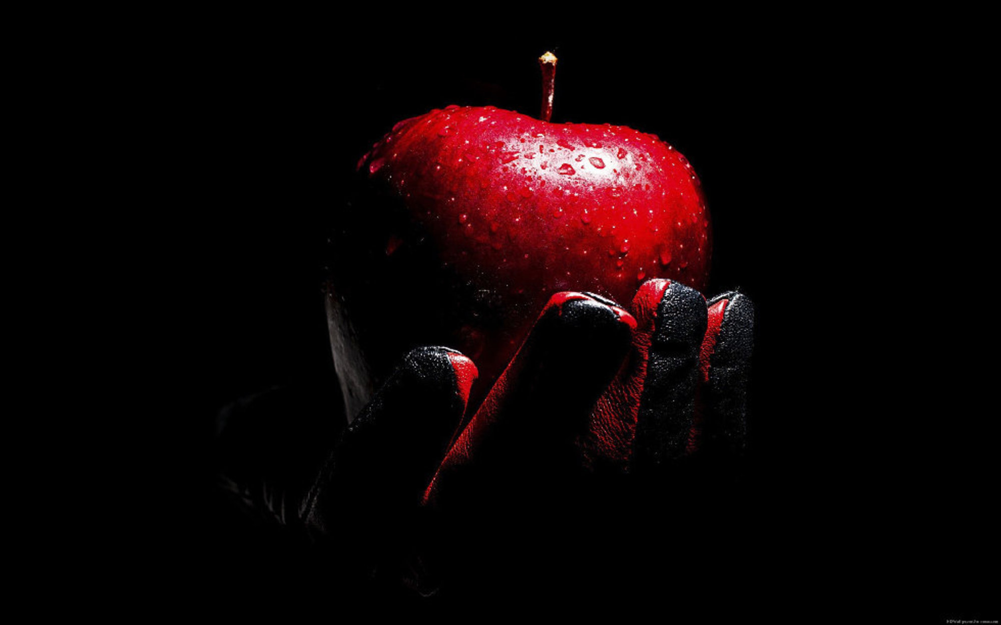 Яблоко на черном фоне. Яблоко на темном фоне. Черный фон картинка. Красное яблоко на черном фоне.